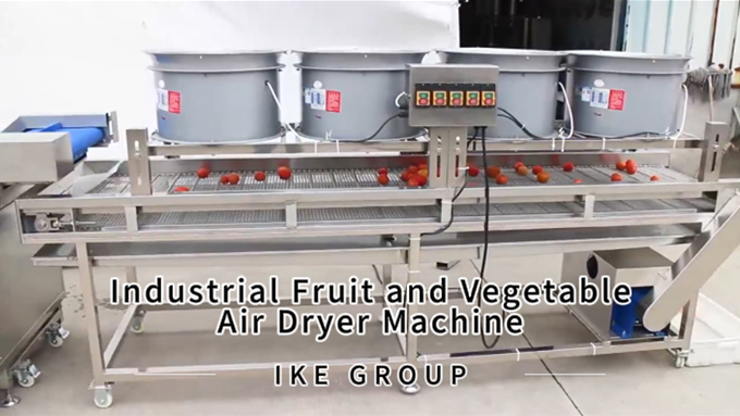 KT-DH35SZ Industrial Air Dryer for Fruits & Vegetables | Efficient Drying Solution by IKE