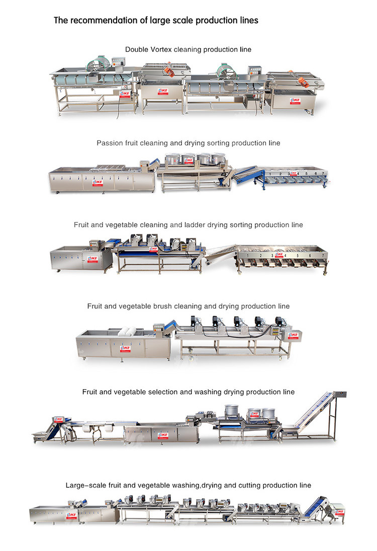 Fruit and Vegetable Cleaning Packing Production Line