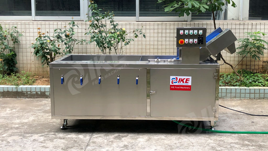 IKE Electric Cleaning Machine for Leaf Vegetable and Fruit