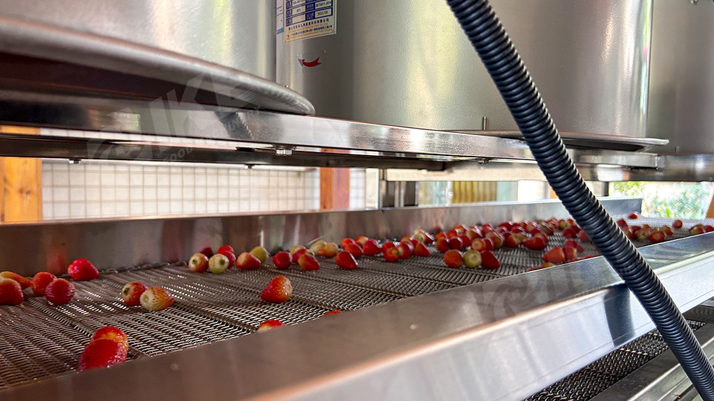 Industrial Automation Strawberry Washing and Slicing Line