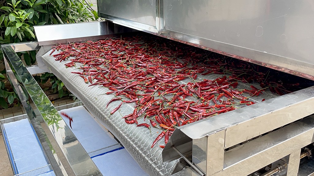 Commercial Chili Processing Line