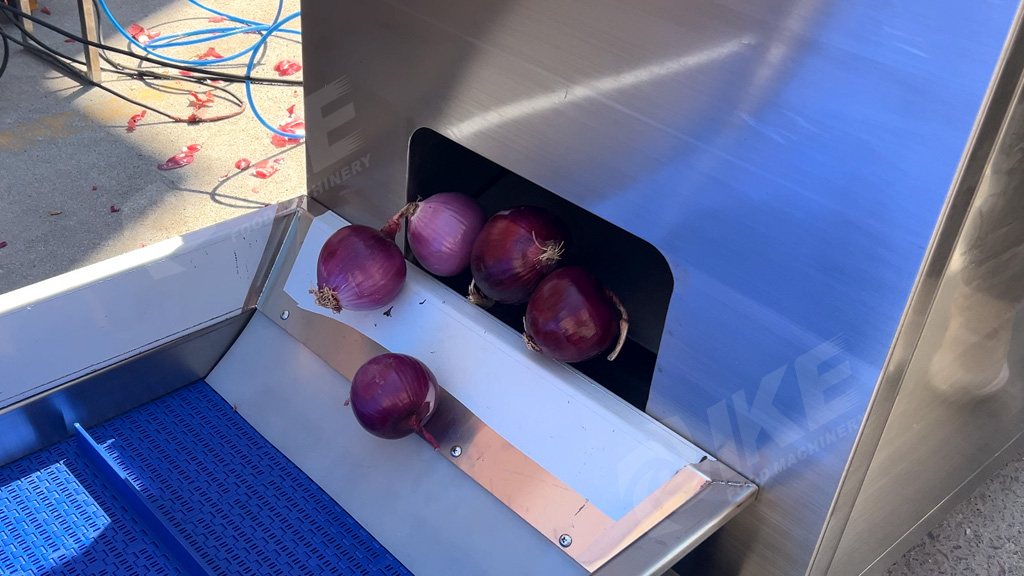 Customizable IKE Onion Processing Line | Peeling, Cleaning, Slicing Equipment for Efficient Onion Processing