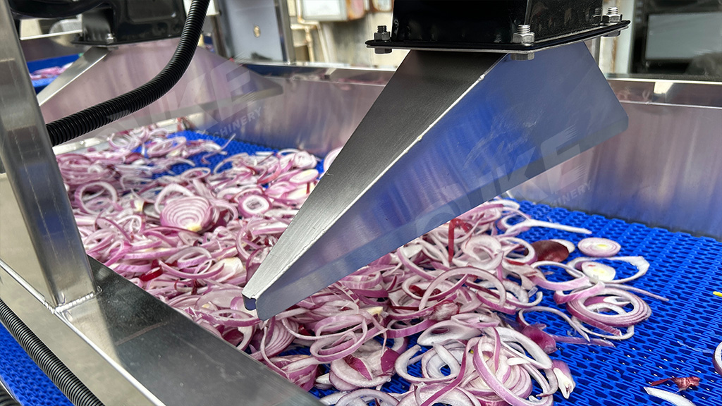 Customizable IKE Onion Processing Line | Peeling, Cleaning, Slicing Equipment for Efficient Onion Processing