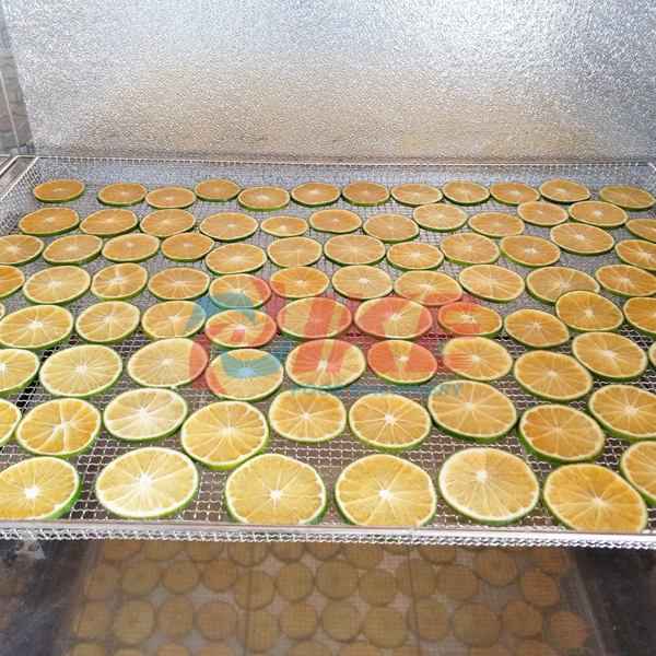 Home & Commercial Fruit Vegetable Slicer Tomato Lemon Cutter Slicing Machine