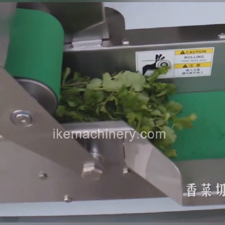 How to chop coriander?