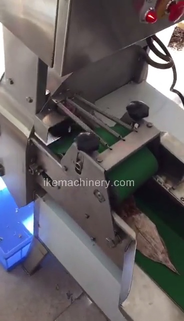 Dried squid cutting machine