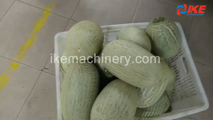 Automatic peeling machine for large-size melons