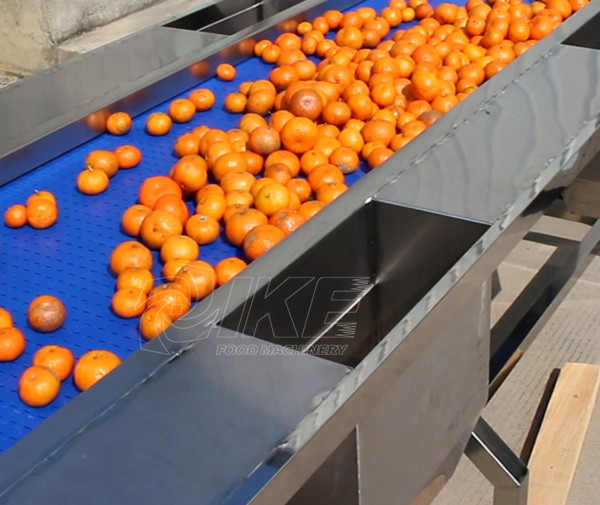 Fruit Vegetable Sorting Washing Peeling Cutting Drying Dryer Processing  Machine