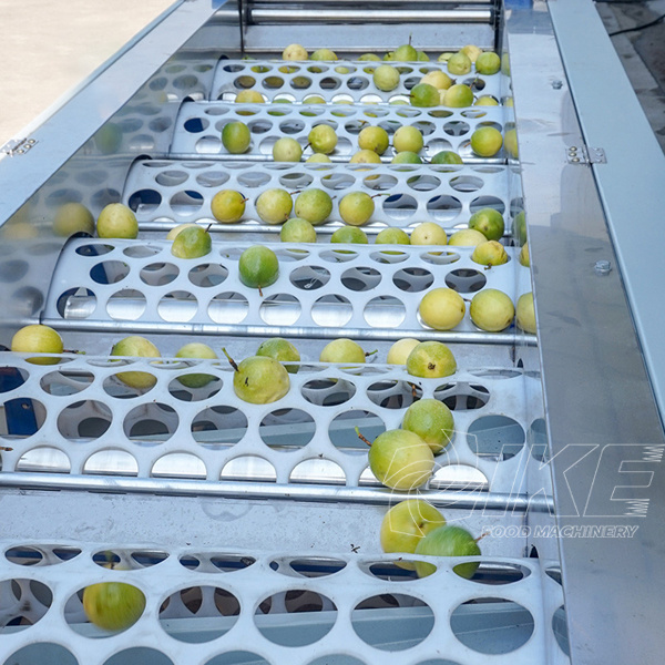 Multifunctional Passion Fruit and Vegetable Brush Bubble Washing Drying  Selection and Cutting Production Line - China Fruit Brush Washing Drying  Production Line, Vegetable and Fruit Production Line