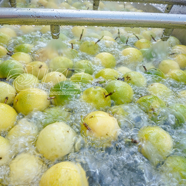 Passion fruit cleaning line