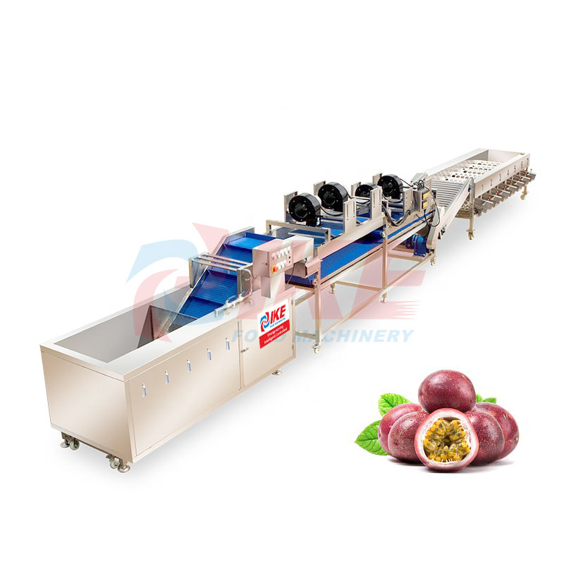Multifunctional Passion Fruit and Vegetable Brush Bubble Washing Drying  Selection and Cutting Production Line - China Fruit Brush Washing Drying  Production Line, Vegetable and Fruit Production Line