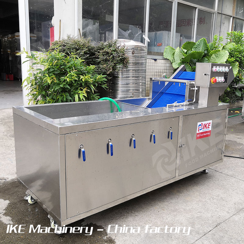 Vegetable Washing Machine Food Washer Bubble Cleaning Machine