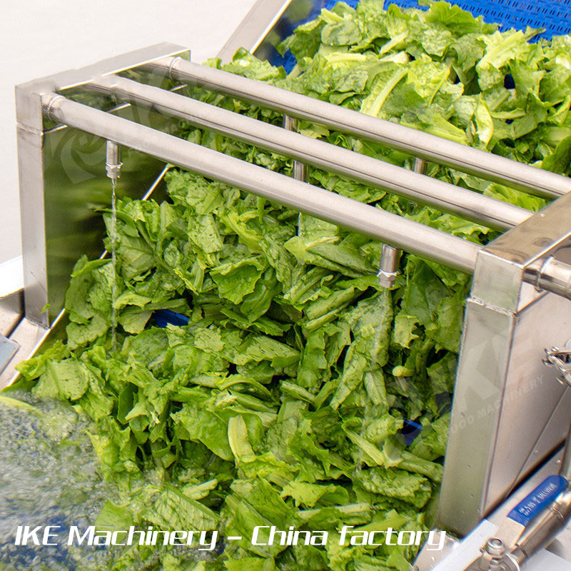 Industrial 1000kg/H Onion Cabbage Vegetable Washer Machine Fruit