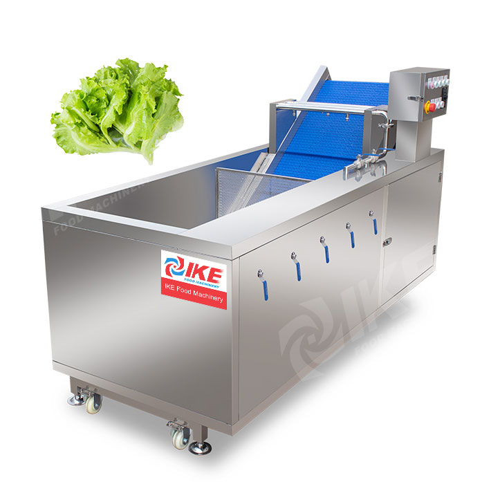 Industrial 1000kg/H Onion Cabbage Vegetable Washer Machine Fruit