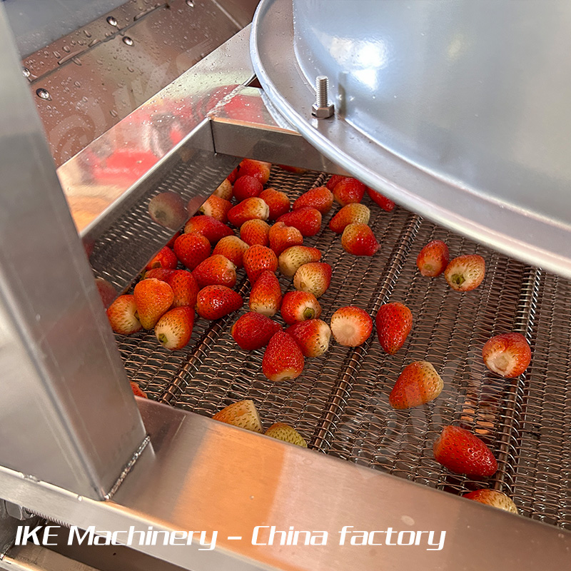 Industrial Automation Strawberry Washing and Slicing Line