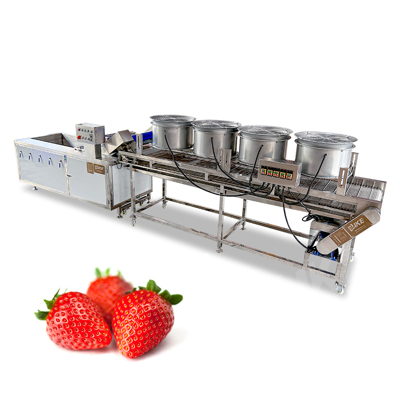 Large Strawberry Washing Machine for Agriculture and Farm Use